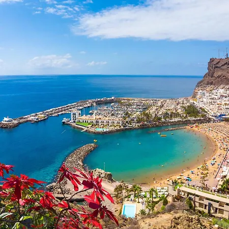 Marina Nº 290 * Puerto De Mogan