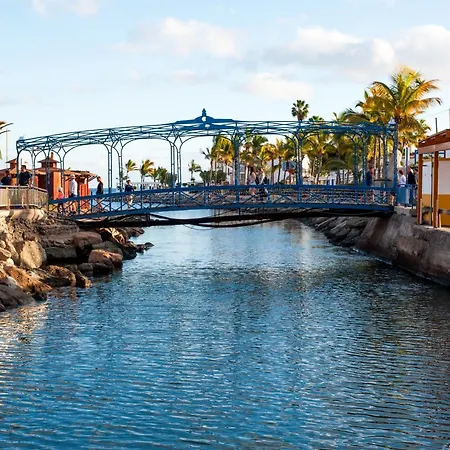 Marina Nº 290 Daire Puerto De Mogan